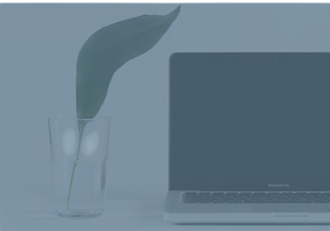 Design sem nome (1) (8)